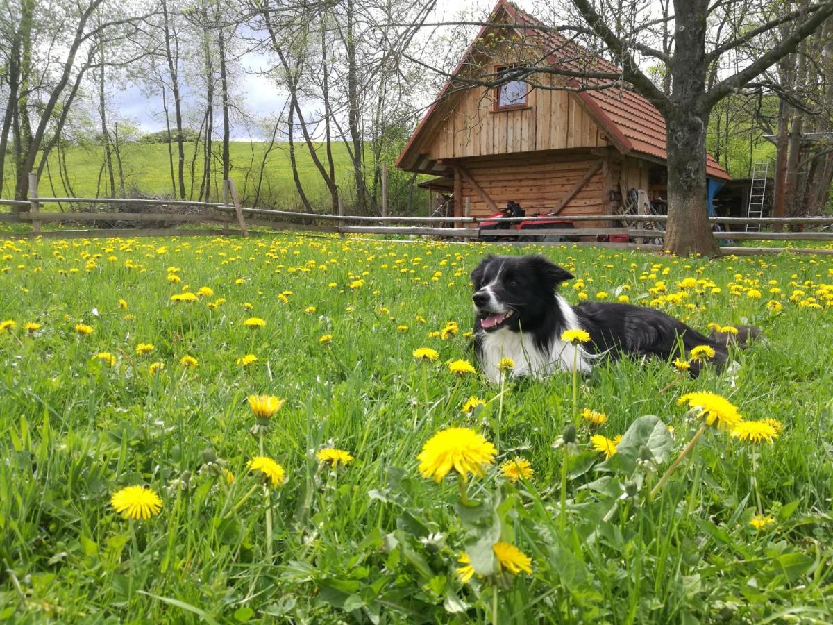 Holiday Home Holiday Raj Bešeňová Εξωτερικό φωτογραφία